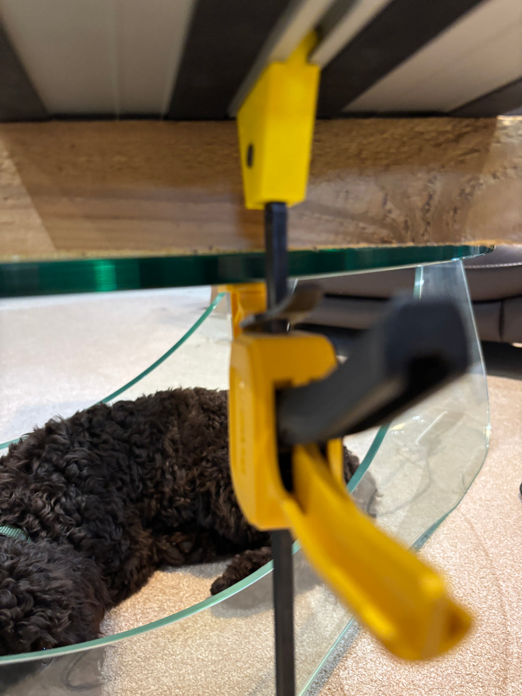 DeWalt track Saw guide rail clamp feet adaptor (PK 2) - For Dewalt Quick Grip Clamp