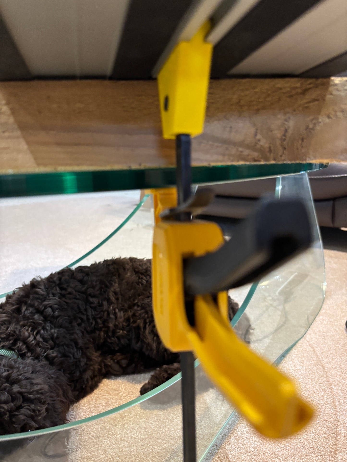 TOOLAX Adaptor Set (2-Pack) – Fits Dewalt Guide Rail - Dewalt Quick-Grip Clamps